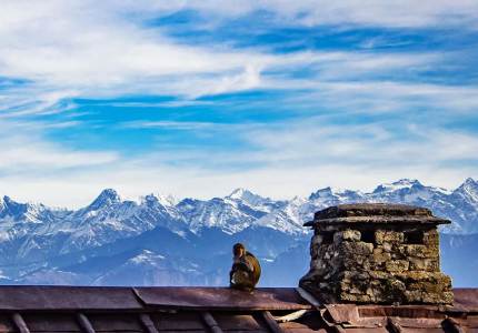 Amritsar Himachal Short Hill Escape