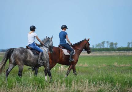 Chandigarh Hill Escape: Dalhousie & Dharamshala