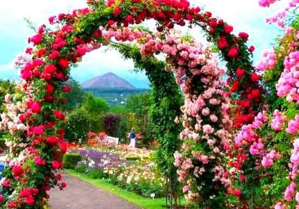 Amritsar Shimla Manali Chandigarh Snow Tour