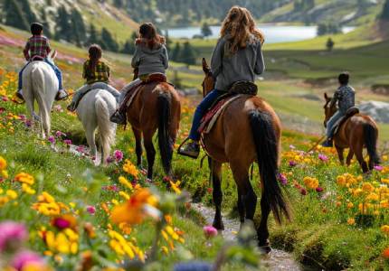 Srinagar Gulmarg Pahalgam 7-Day Tour