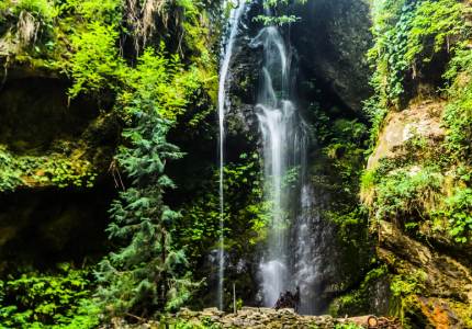 Chandigarh Hill Escape: Dalhousie & Dharamshala