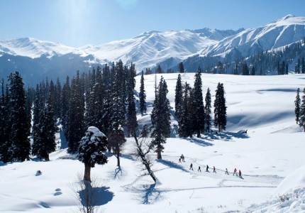 Kashmir Sightseeing Tour from Chandigarh