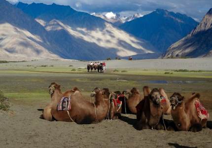 Amritsar to Leh Complete Ladakh Tour